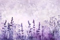 field lavender watercolor illustration, wild purple flowers Royalty Free Stock Photo