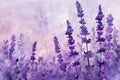 field lavender watercolor illustration, wild purple flowers Royalty Free Stock Photo