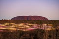 Field of Light at Uluru