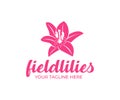 Field lily, flower, fashion, spa and beauty salon, logo design. Nature, plant, bloom and flora, vector design Royalty Free Stock Photo