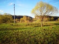 A field with many holes dug by moles