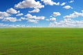 Field meadow cloud sky background