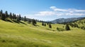 field meadow travel day landscape