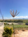 Field meditation nature simplicity; Mato do campo natureza Royalty Free Stock Photo