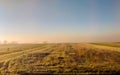 Wild nature field landscape with fog in the morning