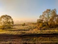 Wild nature field landscape with fog in the morning