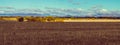 Field and Mountain Landscape