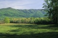 Field, Mountains, Spring