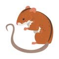 Field Mouse, Cute Fluffy Red Rodent Animal with Black Stripe on Its Back, Side View Vector Illustration Royalty Free Stock Photo