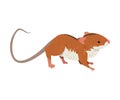 Field Mouse, Cute Fluffy Red Rodent Animal with Black Stripe on Its Back, Side View Vector Illustration Royalty Free Stock Photo