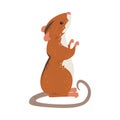 Field Mouse Standing on Hind Legs, Red Rodent Animal with Black Stripe on Its Back Vector Illustration Royalty Free Stock Photo