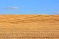 The field of mown wheat