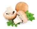 Field mushrooms with greens Royalty Free Stock Photo