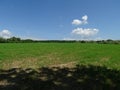 Field near Nussloch in the sun with trees and clouds