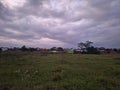 field near the paddy field in the afternoon sunny