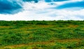 Lush green grass meadow with blue skies and clouds Royalty Free Stock Photo