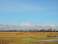 Field and nice sky with flying birds, Lithuania Royalty Free Stock Photo