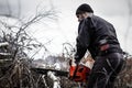 In a field, not far from the forest, in a pile of felled trees, a man is sawing trunks with a chainsaw to make firewood