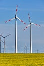 Field with oilseed rape and wind turbines Royalty Free Stock Photo