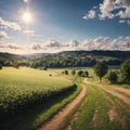 Field path with hilly landscape in back light in summer near St. Wendel in Saarland made with Generative AI