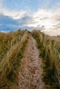 Field path under blue sky in Ireland Royalty Free Stock Photo