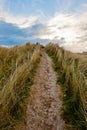 Field path under blue sky in Ireland