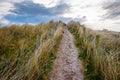 Field path under blue sky in Ireland Royalty Free Stock Photo