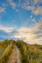 Field path under blue sky in Ireland