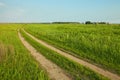 Field with path Royalty Free Stock Photo
