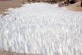 Field of penitentes along the road from La Casualidad to Mina Julia, Puna de Atacama, Argentina Royalty Free Stock Photo