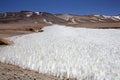 Field of penitentes along the road from La Casualidad to Mina Julia, Puna de Atacama, Argentina