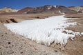 Field of penitentes along the road from La Casualidad to Mina Julia, Puna de Atacama, Argentina Royalty Free Stock Photo