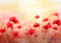 Field plant poppy meadow floral nature blooming background summer flowers red spring background Royalty Free Stock Photo