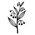 Field plant with veined leaves and berries vector icon. Hand-drawn illustration isolated on white background. Botanical sketch. Royalty Free Stock Photo