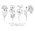 Field plants line vector, line flowers vector set, plants collection, minimalist line design