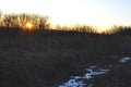 Sunset in the thickets of the hill Royalty Free Stock Photo