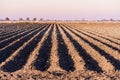 Field plowed and prepared for planting crops; straight furrows visible under the sunset light; Merced County, Central California