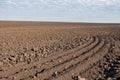 Field plowed, sown cereals.