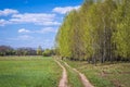 Field in Poland, Masovia region Royalty Free Stock Photo