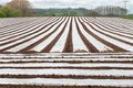 Field of Polytunnels Royalty Free Stock Photo