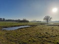 Field and pond landscape in the winter on a sunny day Royalty Free Stock Photo