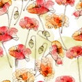 field poppies seamless pattern