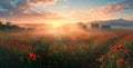 field of poppies at sunrise, beautiful summer landscape with red flowers in meadow Royalty Free Stock Photo