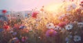 sunset beautiful plant violet field pink background meadow flower nature blooming. Generative AI. Royalty Free Stock Photo