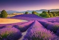 A field of purple lavender in a countryside landscape