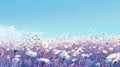 Field of Purple and White Daisies Under a Blue Sky Royalty Free Stock Photo