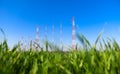 A field with radio and electricity antennas towers with blue sky and green grass landscape Royalty Free Stock Photo