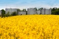 Field of Rapeseed blossoming, a grain Silo behind