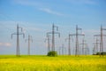 Field of rapeseed brasica napus and high voltage pole Royalty Free Stock Photo