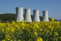 Field of rapeseed,canola or colza, in latin with the Nuclear power plant in the backround. Royalty Free Stock Photo